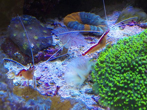 DSCF9635b (Medium).jpg