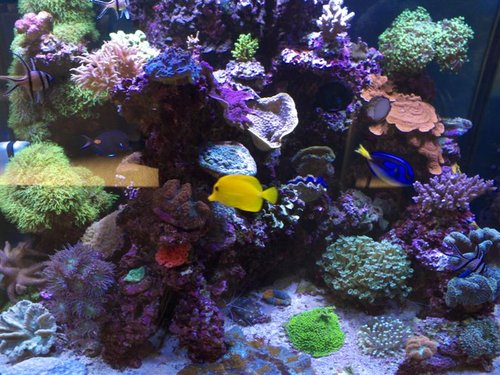DSCF9656b (Medium).jpg
