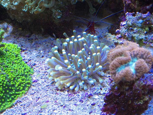 DSCF9654b (Medium).jpg