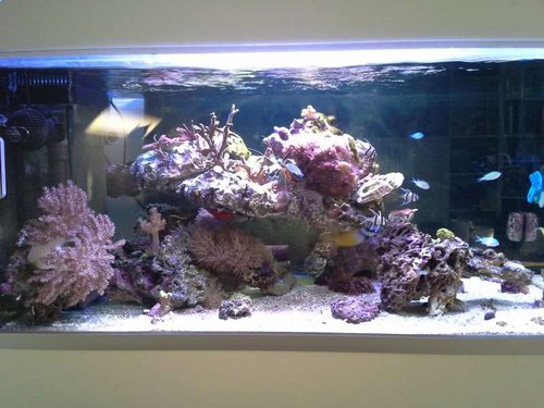 Full tank