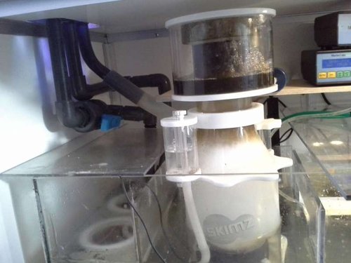 sump med skummer