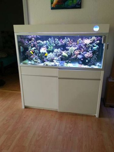 FTS