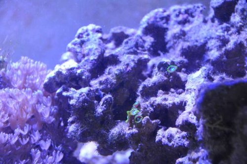 DSC_0374.jpg