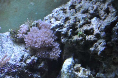 DSC_0393.jpg