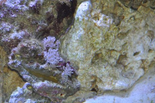 DSC_0394.jpg