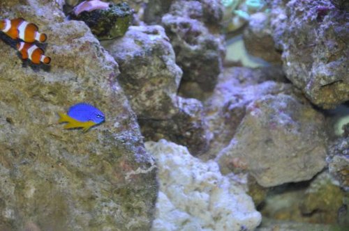 DSC_0398.jpg