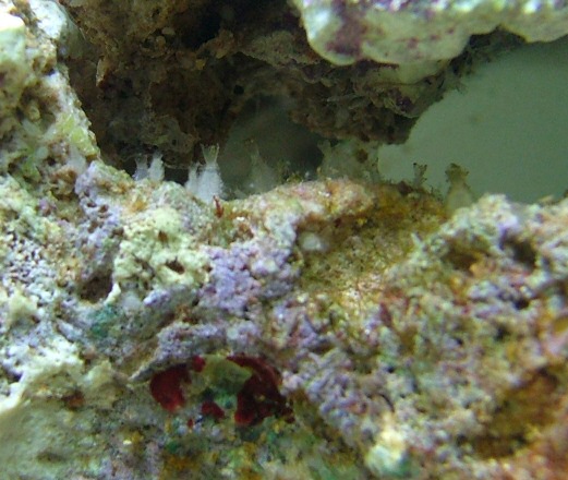 Image3.jpg