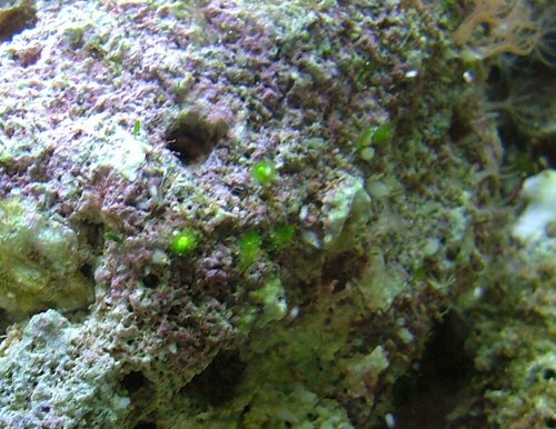 Image4.jpg