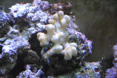 DSC_0408.jpg