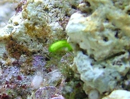 Image5.jpg