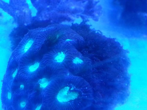 2014-05-12 12.56.23.jpg