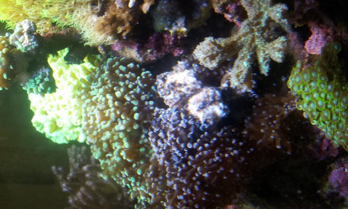 20140510_180201.jpg