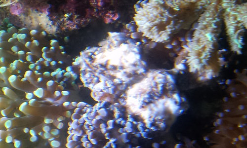 20140510_180210.jpg