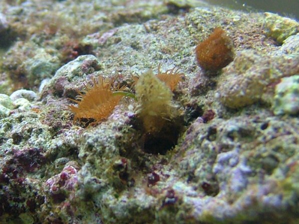 Image6.jpg