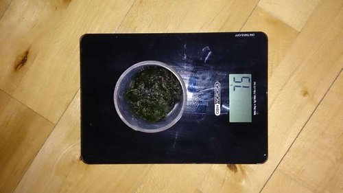 DSC_0460.JPG
