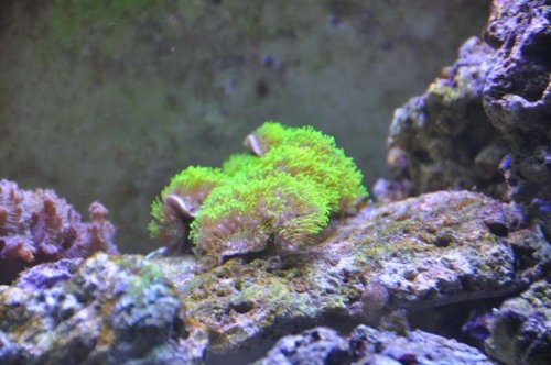 DSC_0047.jpg
