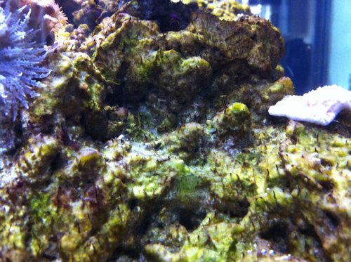 IMG_0469[1].JPG