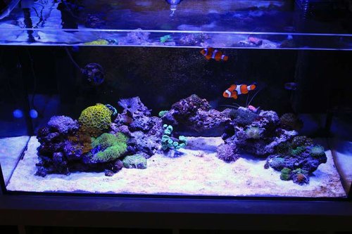 FTS.jpg