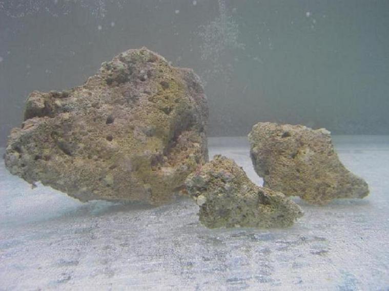 PICT2700.JPG