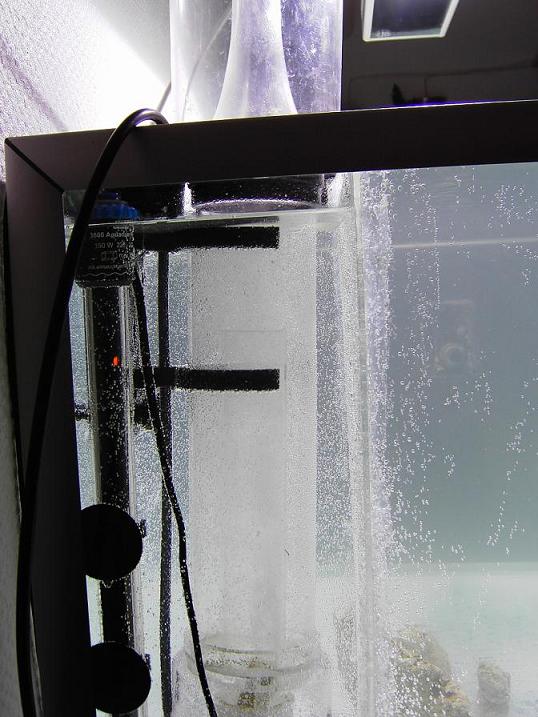 PICT2701.JPG