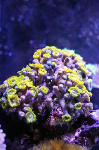 IMG_0465.JPG