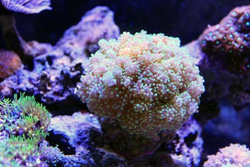 IMG_0467.JPG