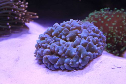 IMG_9544.JPG