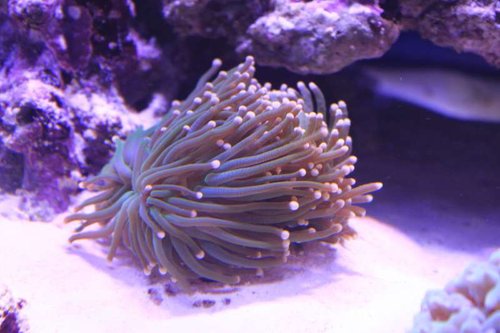 IMG_9546.JPG