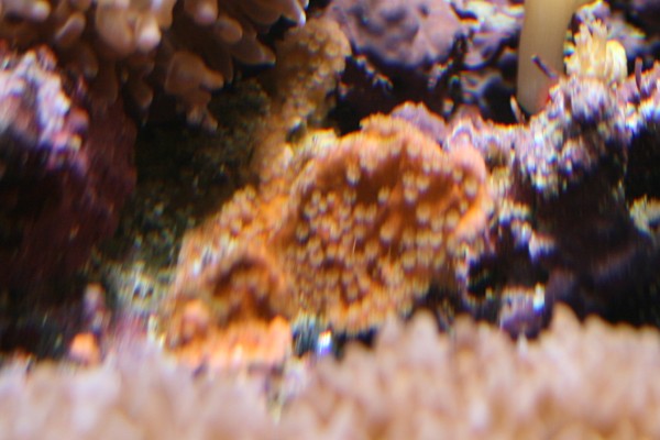 No 1 (600 x 400).jpg