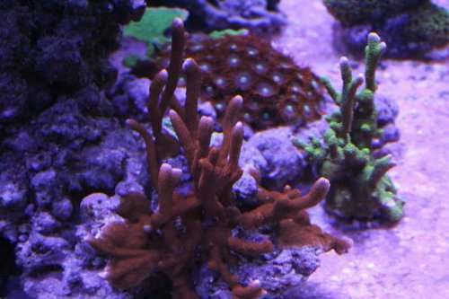 IMG_0147.JPG