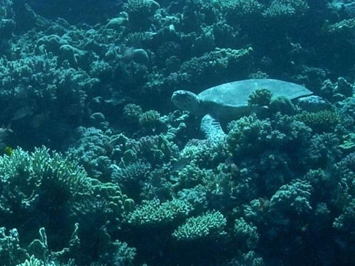 M0013018b (Medium).jpg