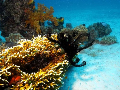 M0013131 (Medium).jpg