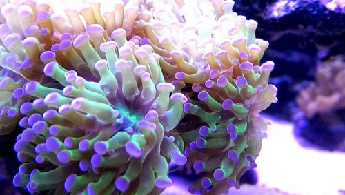 IMAG0025_1.jpg