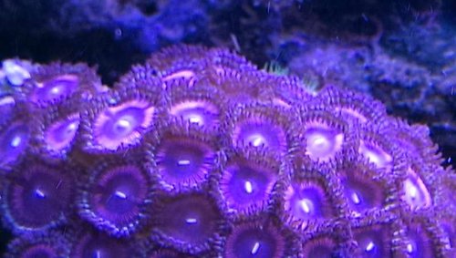 IMAG0011.jpg