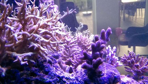 IMAG0012.jpg