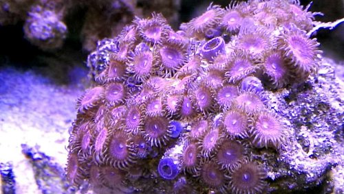 IMAG0022_1.jpg