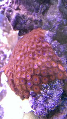IMAG0021.jpg