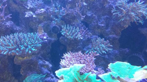 20140620_120821.jpg