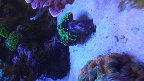 20140620_121115.jpg