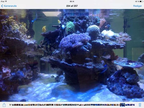 image.jpg (59.7 KiB) Vist 713 gange 1 års fødselsdag / Update billede