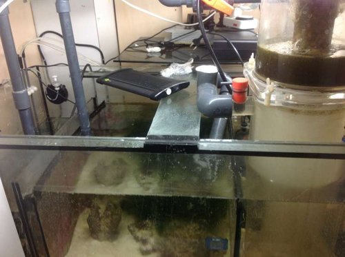 Sump