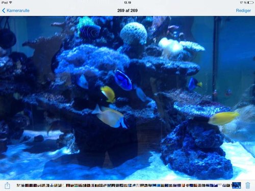 image.jpg (52.23 KiB) Vist 663 gange Update fisk