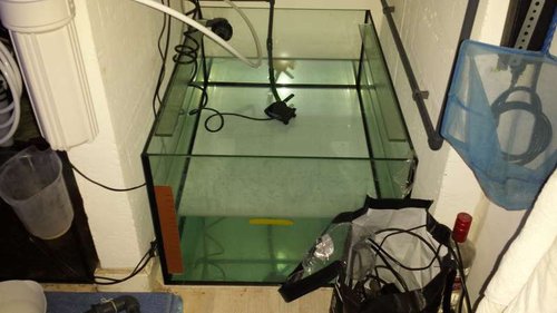 20140628_222238.jpg (37.29 KiB) Vist 3630 gange osmosetank 160 L