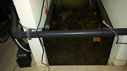 20140628_222214.jpg (29.89 KiB) Vist 3628 gange 160 liter ekstra fiske tank