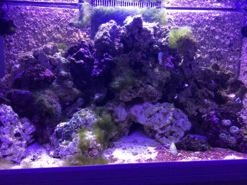 20140603-IMG.jpg