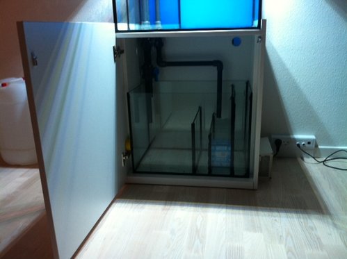 foto8.JPG