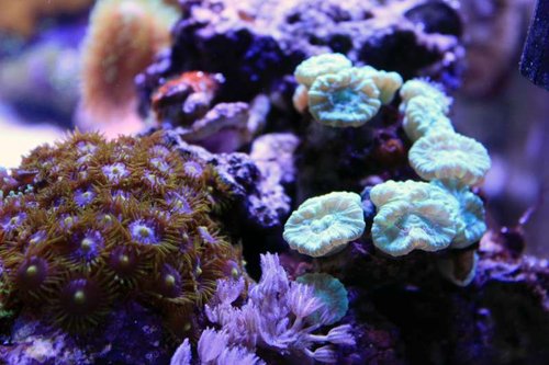 IMG_0531.JPG