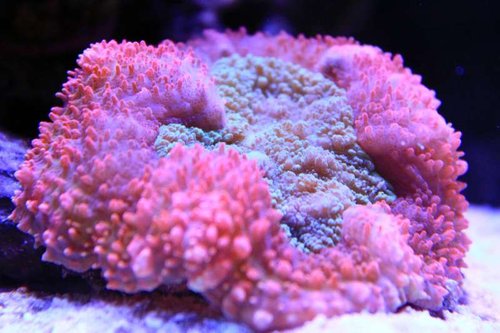 IMG_0508.JPG