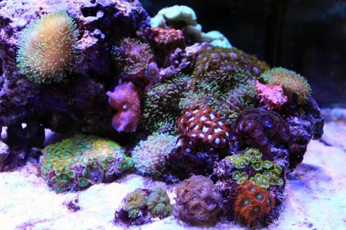 IMG_0504.JPG