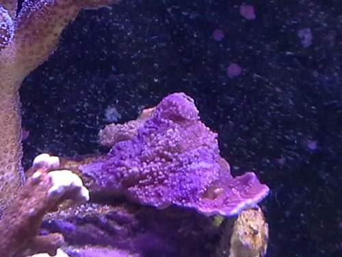 20140706_104946.jpg